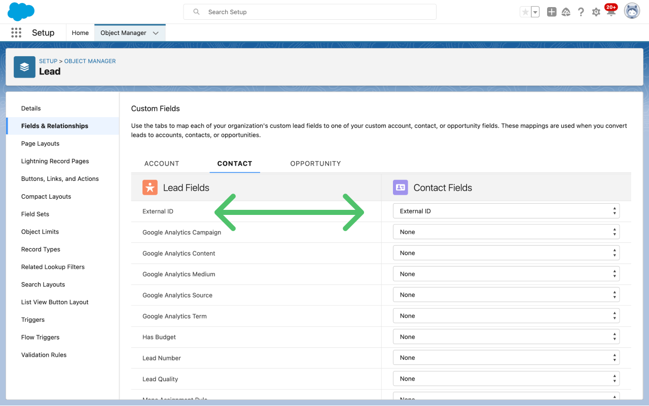 Mapping Lead Fields in the Salesforce UI